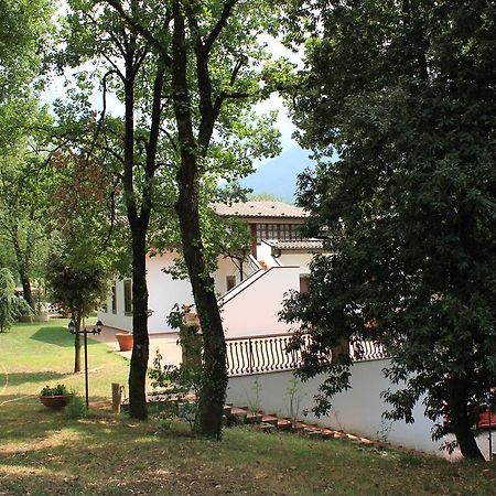 科隆纳住宿加早餐旅馆 Montelanico 外观 照片
