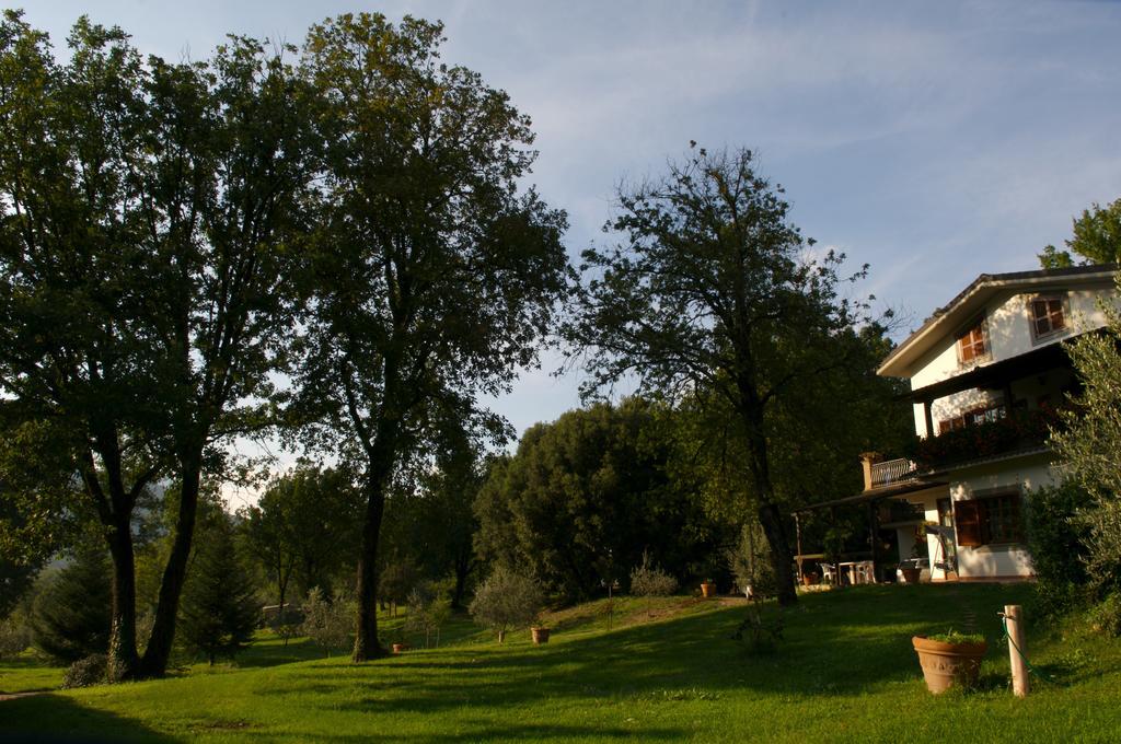 科隆纳住宿加早餐旅馆 Montelanico 外观 照片