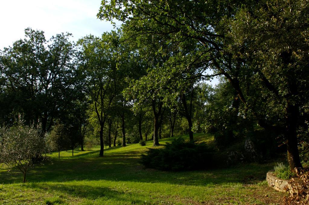 科隆纳住宿加早餐旅馆 Montelanico 外观 照片